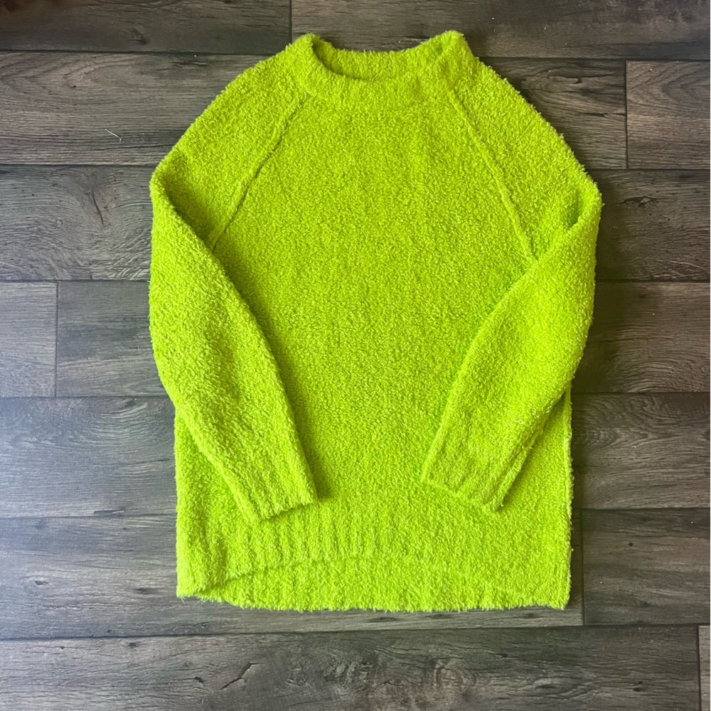 Free People Women's Teddy Fuzzy Soft Oversized Tunic Sweater Green Size Small